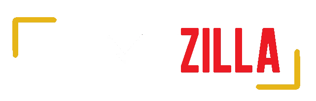 Filmyzilla41.net