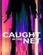 Caught in the Net (2022) Web Series