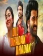 Dil Dhadak Dhadak (2021) South Indian Hindi Dubbed Movie