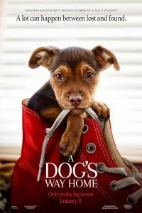 A Dogs Way Home (2019) Hindi Dubbed