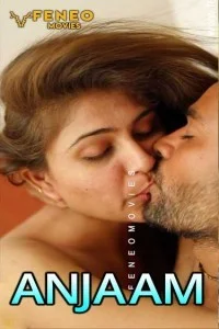 Anjaam (2020) Feneo Webseries