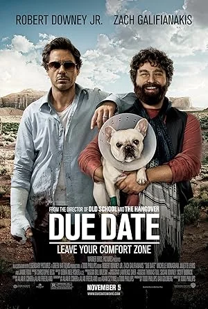Due Date (2010) Hindi Dubbed
