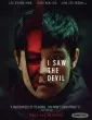 I Saw the Devil (2010) Hindi Dubbed
