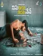 Ninnu Veedani Needanu Nene (2019) South Indian Hindi Dubbed Movie