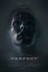 Perfect (2019) English Movie