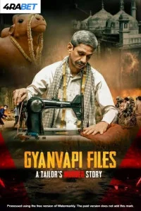 Udaipur Files (2025) Hindi Movie